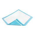 Disposable Underpad with Adhesive Strips